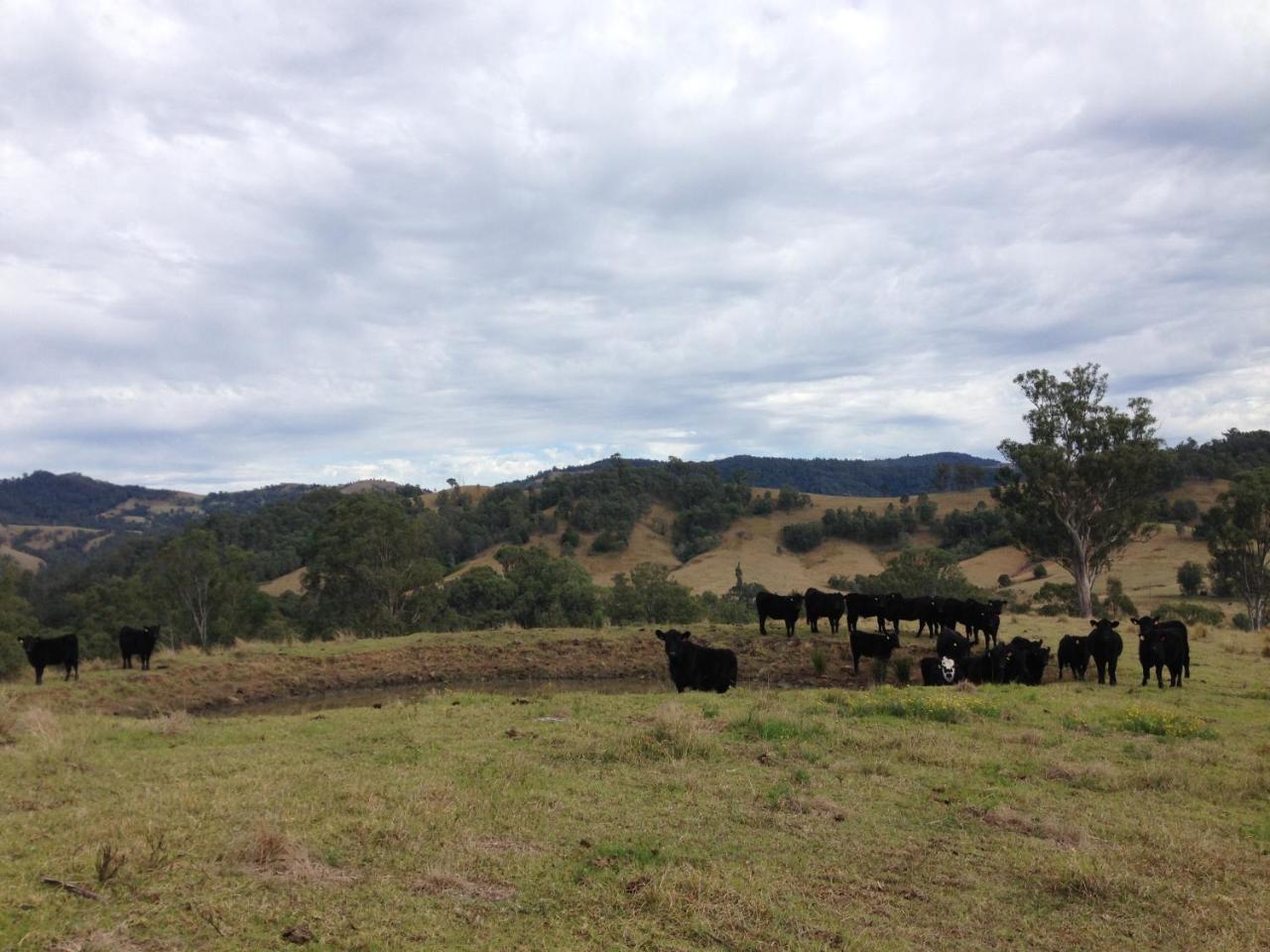 Bobby'S Country Rental Eccleston Bagian luar foto